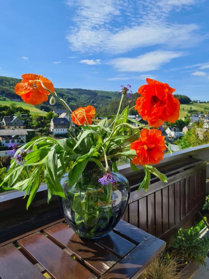 Appartement Panoramablick Willingen Schwalefeld Extérieur photo